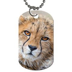 Leopard Laying Down Dog Tag (one Side) by trendistuff