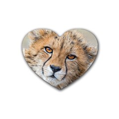 Leopard Laying Down Rubber Coaster (heart)  by trendistuff