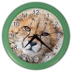 Leopard Laying Down Color Wall Clocks by trendistuff