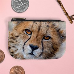 Leopard Laying Down Mini Coin Purses by trendistuff