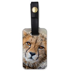 Leopard Laying Down Luggage Tags (one Side)  by trendistuff