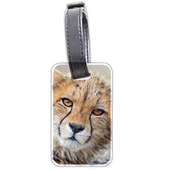 Leopard Laying Down Luggage Tags (two Sides) by trendistuff