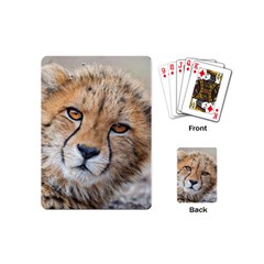 Leopard Laying Down Playing Cards (mini)  by trendistuff