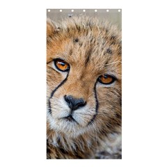 Leopard Laying Down Shower Curtain 36  X 72  (stall) 