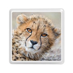 Leopard Laying Down Memory Card Reader (square) 