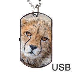 Leopard Laying Down Dog Tag Usb Flash (one Side)