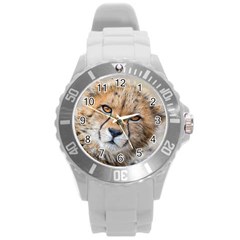 Leopard Laying Down Round Plastic Sport Watch (l) by trendistuff