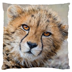 Leopard Laying Down Large Cushion Cases (two Sides)  by trendistuff