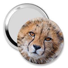 Leopard Laying Down 3  Handbag Mirrors by trendistuff