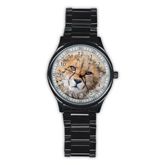 Leopard Laying Down Stainless Steel Round Watches