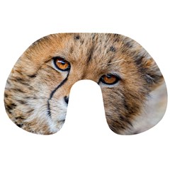 Leopard Laying Down Travel Neck Pillows by trendistuff