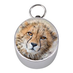 Leopard Laying Down Mini Silver Compasses