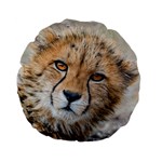 LEOPARD LAYING DOWN Standard 15  Premium Flano Round Cushions Front