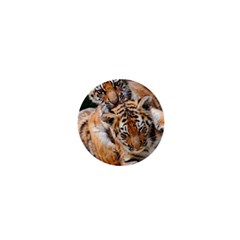 Baby Tigers 1  Mini Buttons by trendistuff