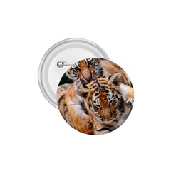 Baby Tigers 1 75  Buttons