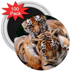 Baby Tigers 3  Magnets (100 Pack) by trendistuff