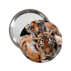 Baby Tigers 2 25  Handbag Mirrors by trendistuff