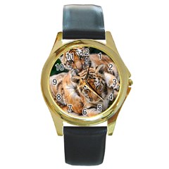 Baby Tigers Round Gold Metal Watches by trendistuff