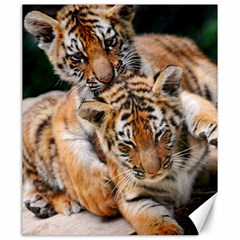 Baby Tigers Canvas 20  X 24   by trendistuff