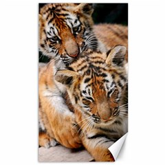 Baby Tigers Canvas 40  X 72   by trendistuff