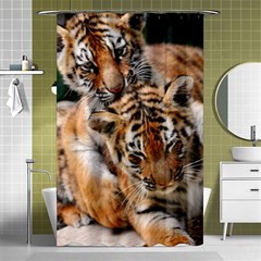 Baby Tigers Shower Curtain 48  X 72  (small) 