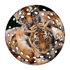 Baby Tigers Ornament (round Filigree) 