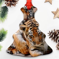 Baby Tigers Ornament (christmas Tree)