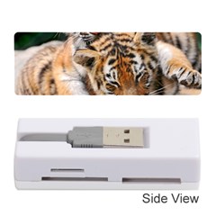 Baby Tigers Memory Card Reader (stick) 