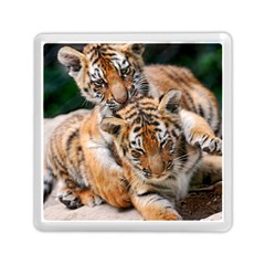 Baby Tigers Memory Card Reader (square) 