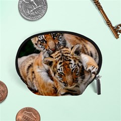 Baby Tigers Accessory Pouches (small) 