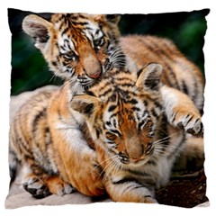 Baby Tigers Standard Flano Cushion Cases (one Side) 