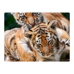 Baby Tigers Double Sided Flano Blanket (mini) 