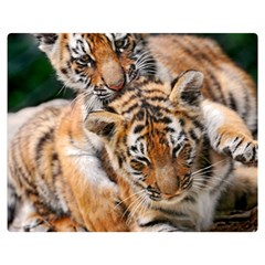 Baby Tigers Double Sided Flano Blanket (medium) 