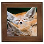 BABY FOX SLEEPING Framed Tiles Front