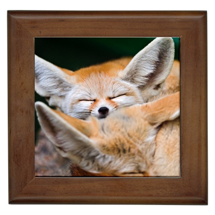 BABY FOX SLEEPING Framed Tiles