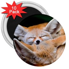 Baby Fox Sleeping 3  Magnets (10 Pack)  by trendistuff