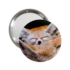 Baby Fox Sleeping 2 25  Handbag Mirrors by trendistuff