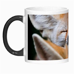 Baby Fox Sleeping Morph Mugs