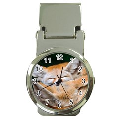 Baby Fox Sleeping Money Clip Watches by trendistuff