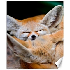 Baby Fox Sleeping Canvas 8  X 10  by trendistuff