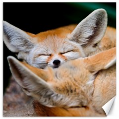 Baby Fox Sleeping Canvas 12  X 12   by trendistuff