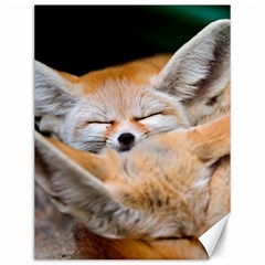 Baby Fox Sleeping Canvas 12  X 16   by trendistuff