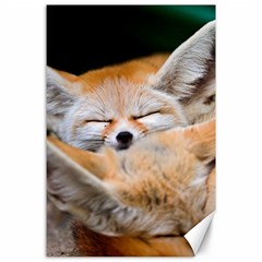 Baby Fox Sleeping Canvas 24  X 36  by trendistuff