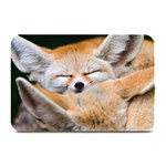 BABY FOX SLEEPING Plate Mats 18 x12  Plate Mat