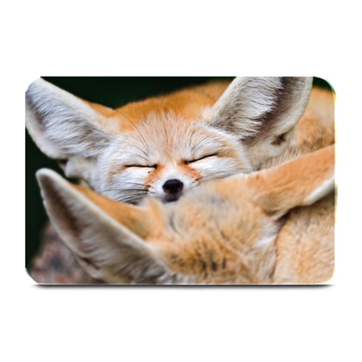 BABY FOX SLEEPING Plate Mats