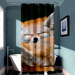 Baby Fox Sleeping Shower Curtain 36  X 72  (stall) 