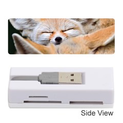 Baby Fox Sleeping Memory Card Reader (stick) 