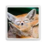 BABY FOX SLEEPING Memory Card Reader (Square)  Front