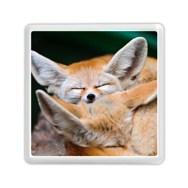 BABY FOX SLEEPING Memory Card Reader (Square) 