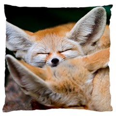 Baby Fox Sleeping Large Cushion Cases (one Side) 